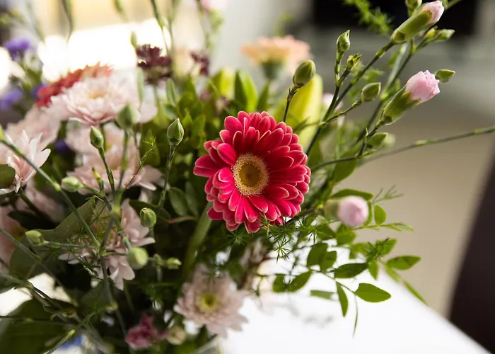 Mario By El-pi Tours Διαμέρισμα *